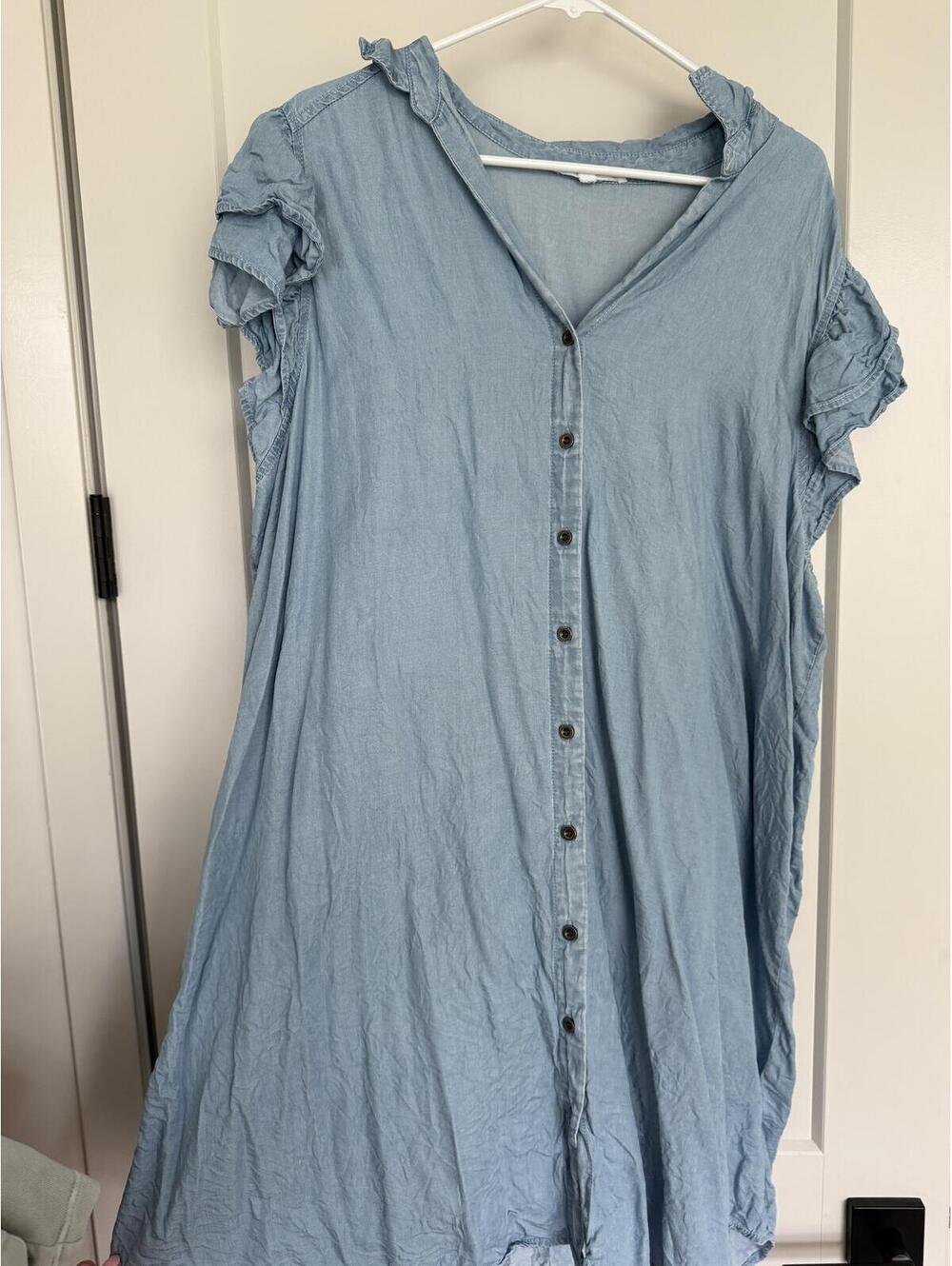 Jane + Delancey Light Blue Button-Front Dress 2X